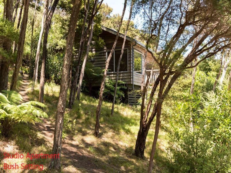 Bay Of Islands Holiday Apartments Paihia Dış mekan fotoğraf